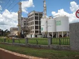 sugar suppliers7.jpg